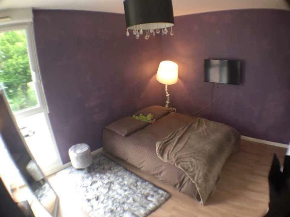 Apartmán le topaze Colmar Exteriér fotografie